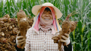 优质中药材种植基地建设成果显著